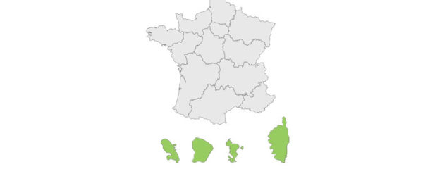 collectivité territoriale