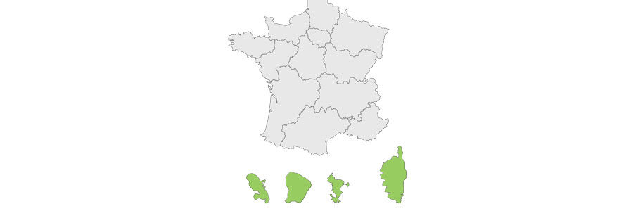 collectivité territoriale